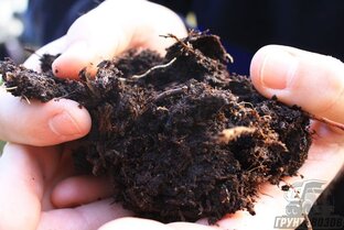 Статьи про торф