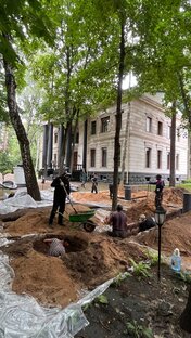 Дренаж участка