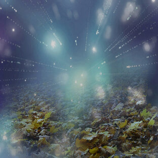 Истории, сказки