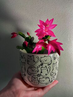 🌸