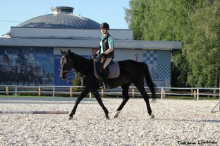 Про тренинг всадника