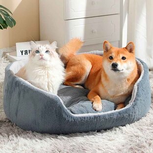 Домашние животные