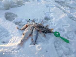 Мормышкины проводки безмотылки