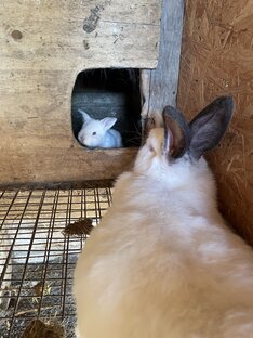 О родителях! 👨‍👩‍👦