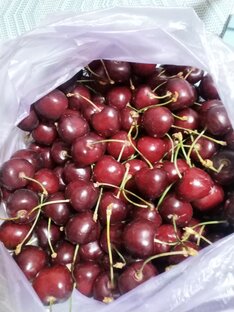 Аллергики семьи/опыт