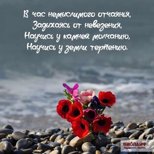 Повседневная суета. 