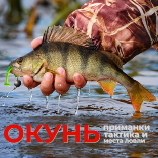 Окунь по жидкой воде.