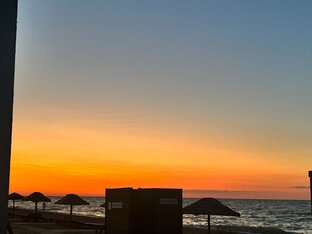  стихи и песни собственного сочинения...