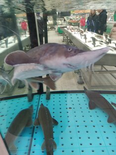 ВОЗВРАТ НДФЛ за проценты по ипотеке