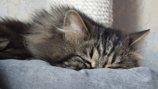 Забота о себе - самое главное