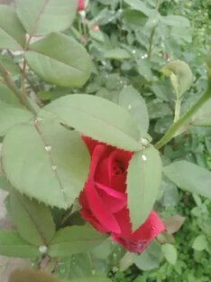 Мир природы