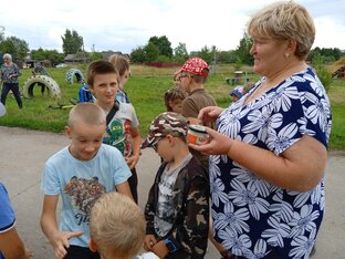 Лето во дворах