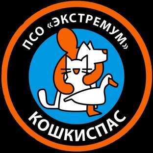 Выезды Кошкиспас. 