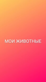Мои животные