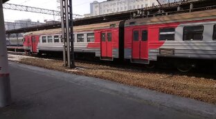 Заяц-беляк Степан, Эвелина Яковлевна и другие