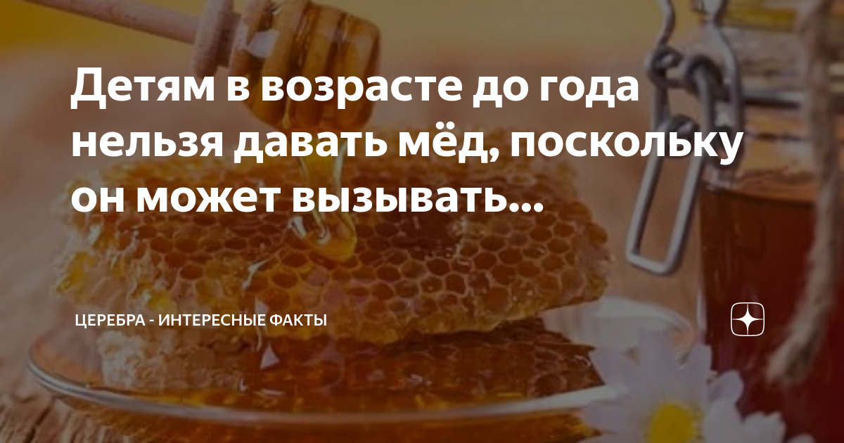 В чем таится вред? Комаровский рассказал о полезном и опасном меде