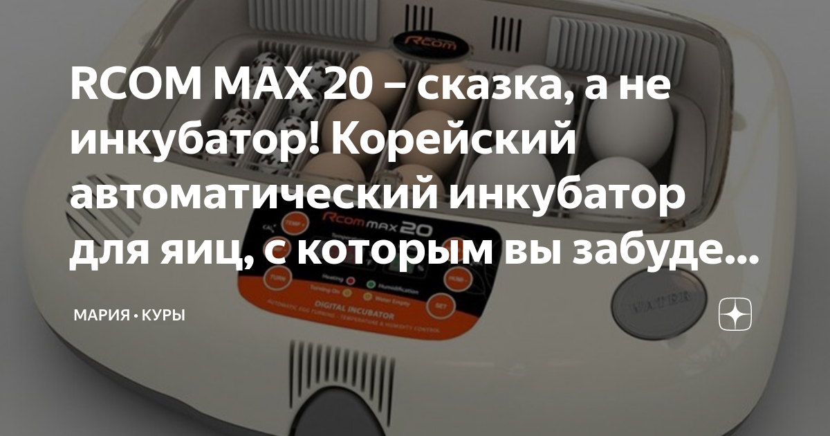 Корейский инкубатор R-com King SURO20 стоит ли брать?