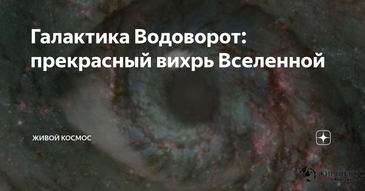 Галактика Водоворот: прекрасный вихрь Вселенной | Живой Космос | Дзен