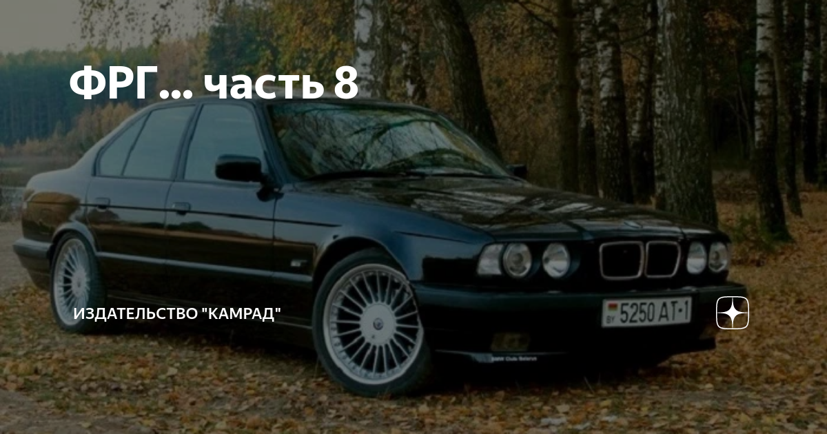ФРГ... часть 8 | Издательство "Камрад" | Дзен