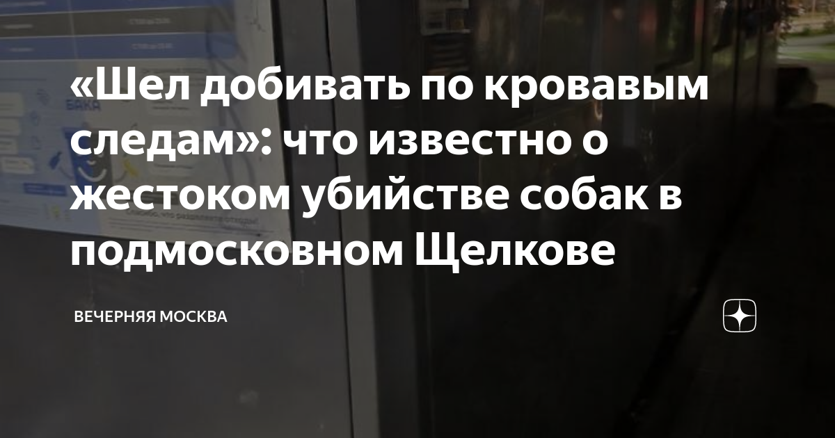 как найти седрика по кровавым следам