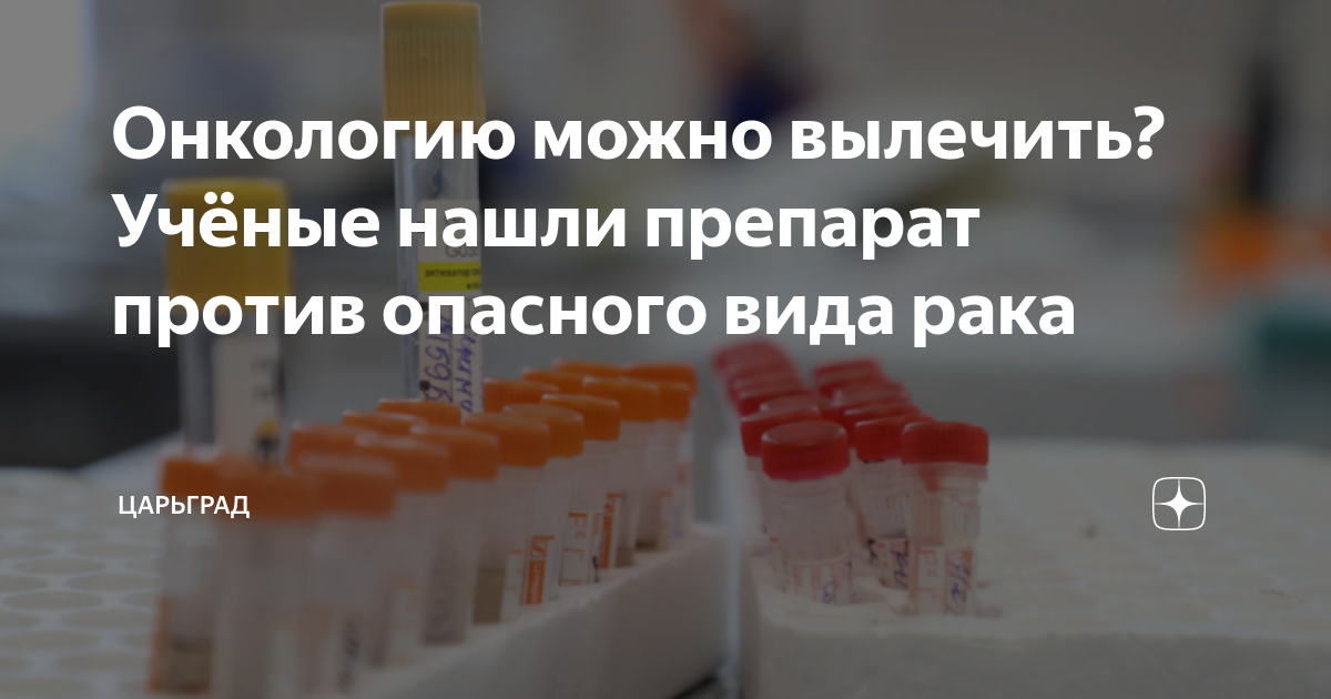Онкологию можно вылечить? Учёные нашли препарат против опасного вида ...
