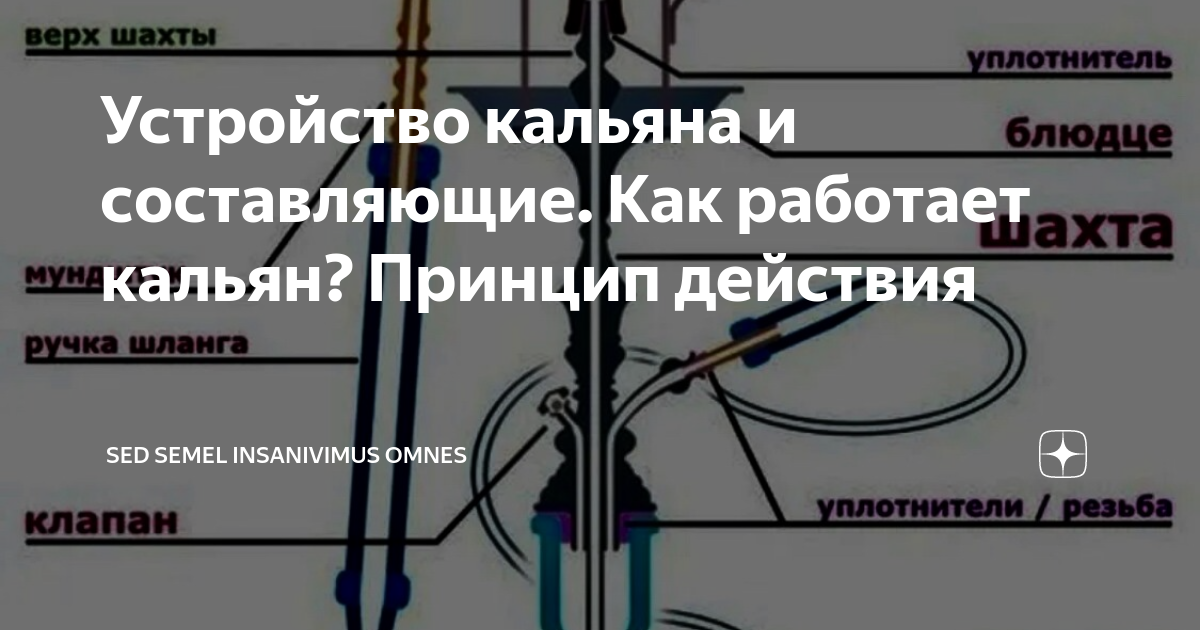 История TIMELESS: кальянные, инвестиции в 500 миллионов рублей и собственная IT-система