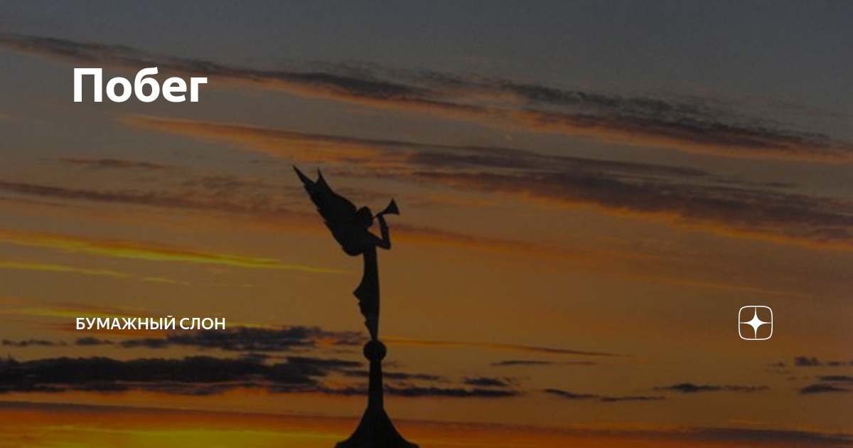 дзен бумажный слон