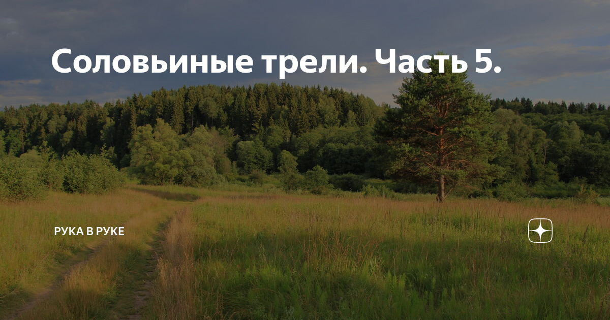 Соловьиные трели. Часть 5. | Рука в руке | Дзен