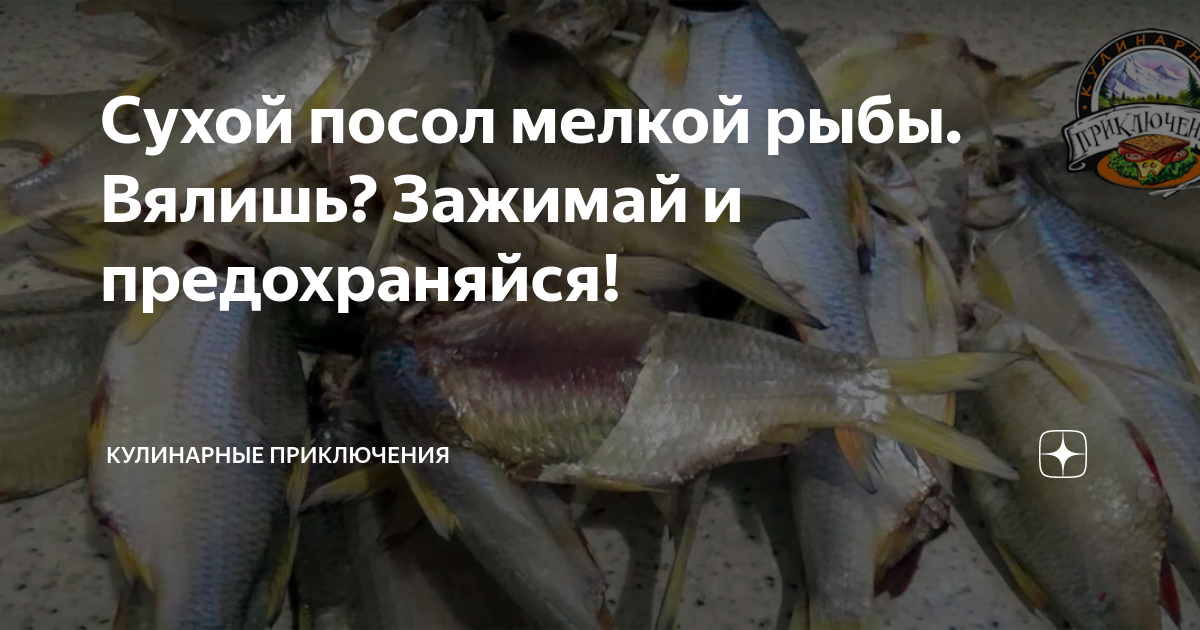 Сухой посол мелкой рыбы. Вялишь? Зажимай и предохраняйся! | КУЛИНАРНЫЕ ...