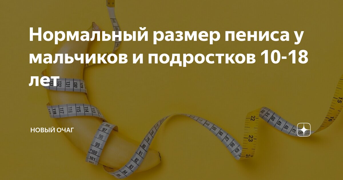 Что такое нормальный или средний размер полового члена — блог медицинского центра ОН Клиник