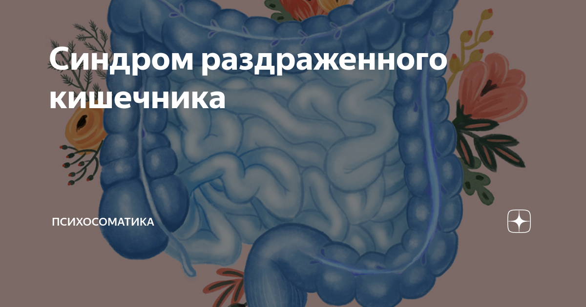 СРК — синдром раздраженного кишечника: все, что нужно знать! - Статьи Expert Health