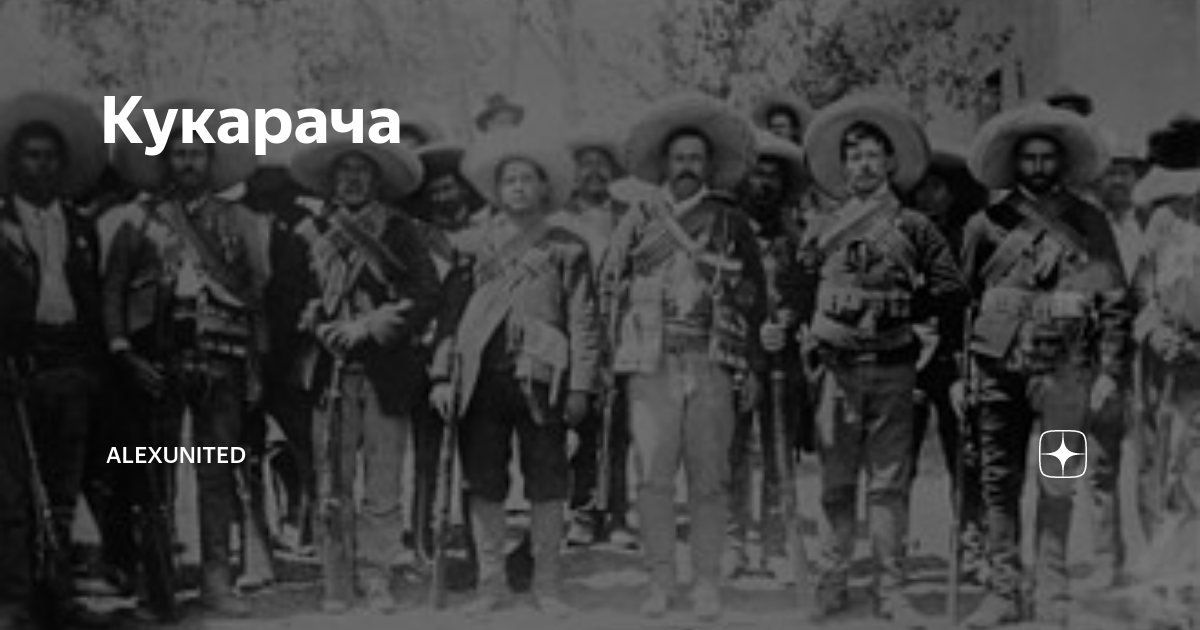 Кукарача | alexunited | Дзен