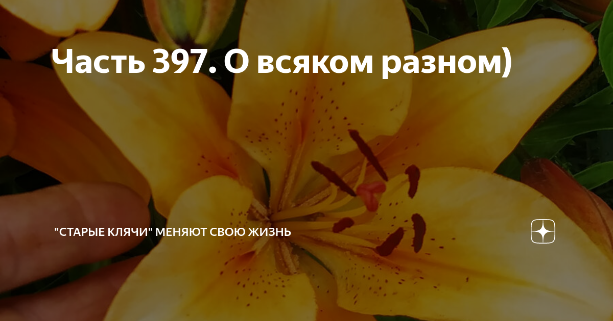 Часть 397. О всяком разном) | "Старые клячи" | Дзен