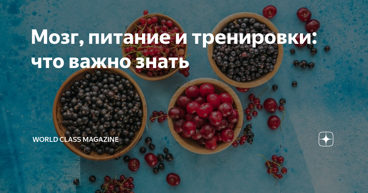 Мозг питание и тренировки что важно знать