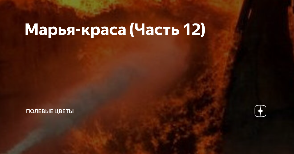 Марья-краса (Часть 12) | Полевые цветы | Дзен