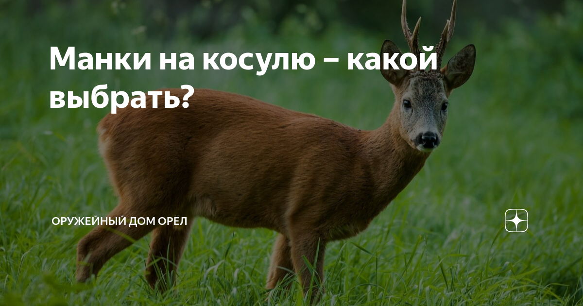 Как выбрать лучший манок на косулю?