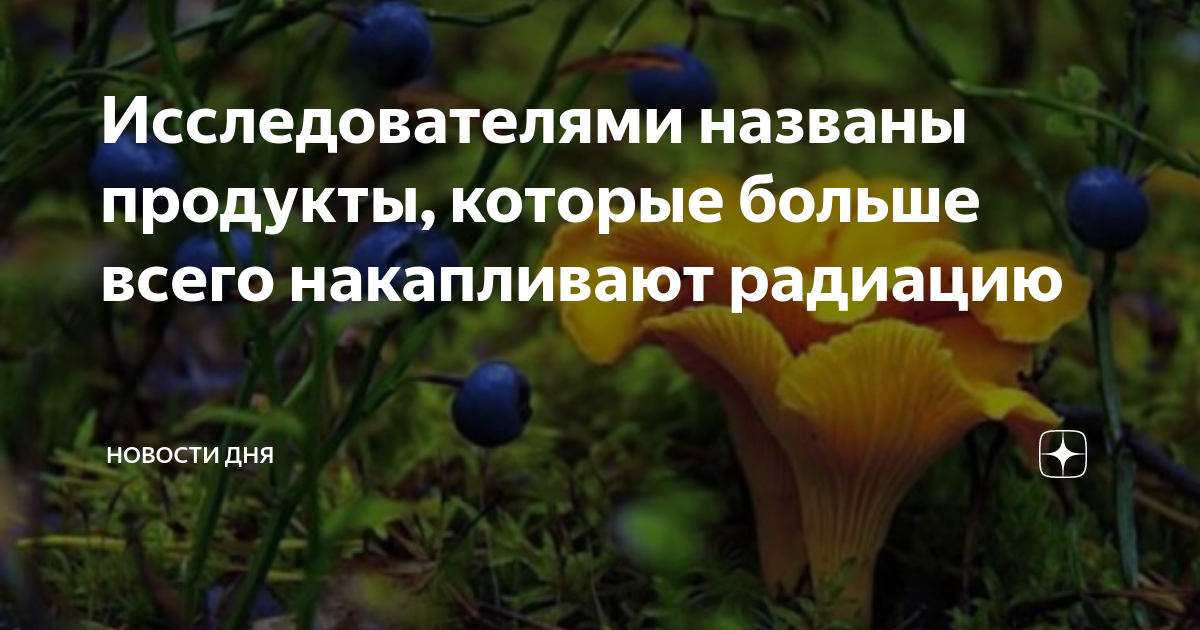 Доктор наук Шамин какие продукты стоит избегать из-за накопления радиации