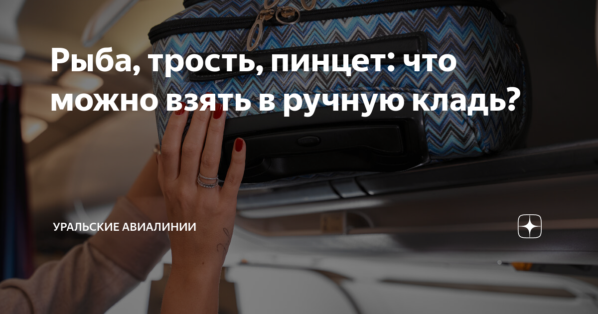 Можно ли зонт трость в ручную кладь. Можно ли зонт трость в ручную кладь