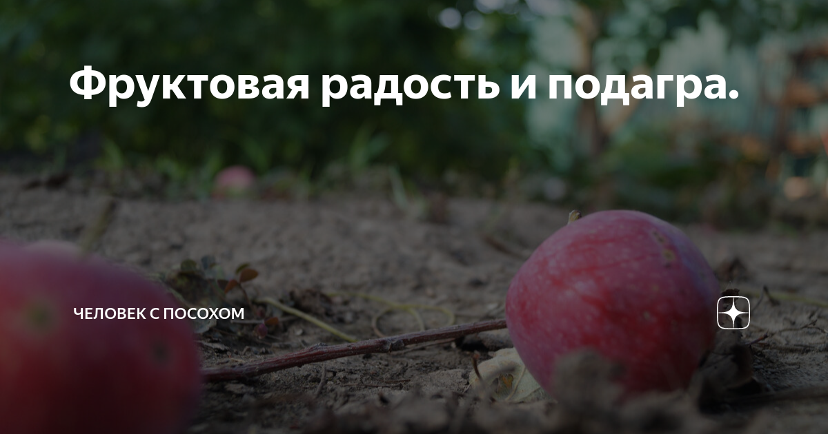 Фруктовая радость и подагра. | Человек с посохом | Дзен