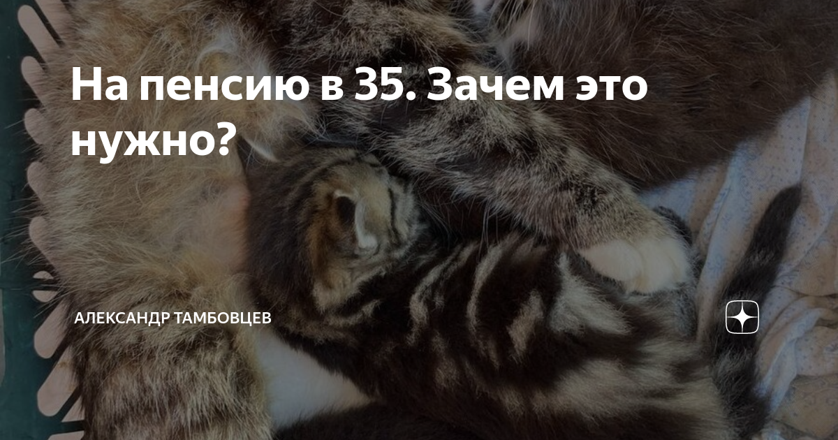 На пенсию в 35. Зачем это нужно? | Александр Тамбовцев | Дзен