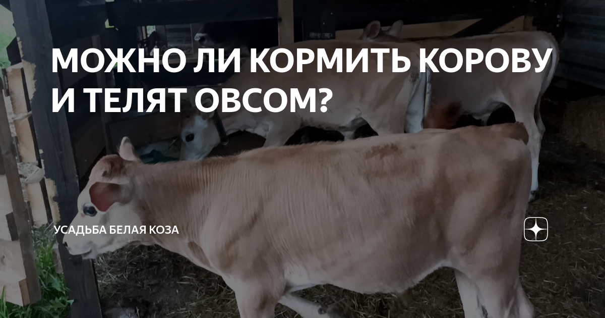 можно ли кормить лежа на животе