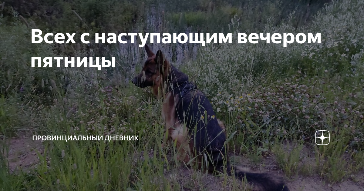 Всех с наступающим вечером пятницы | Провинциальный дневник | Дзен