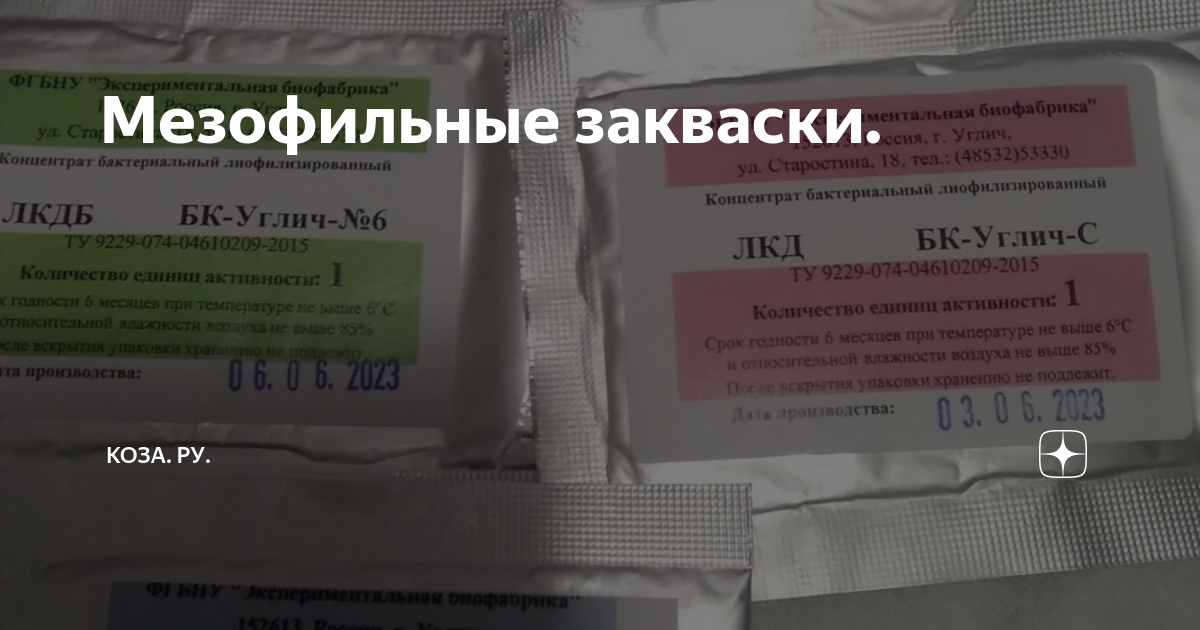 Мезофильные закваски. | КОза. Ру. | Дзен