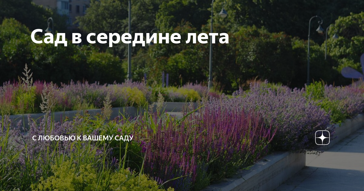 Сад в середине лета | С любовью к вашему саду | Дзен