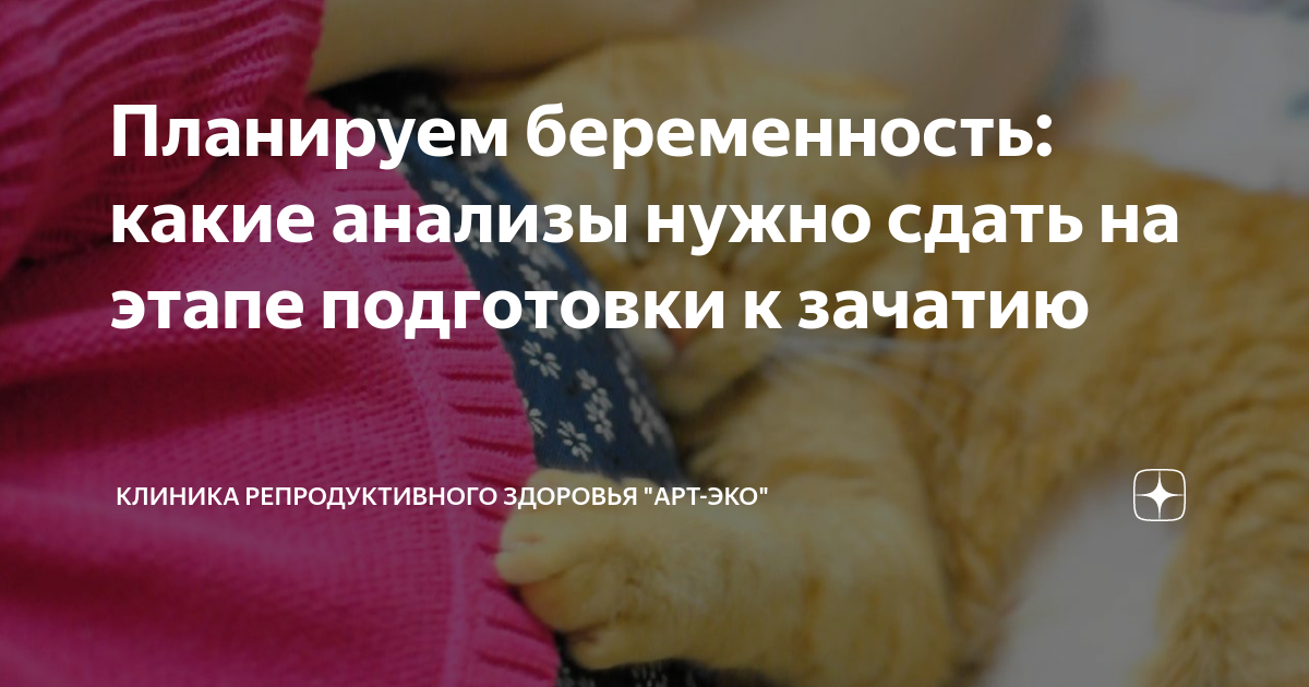 Планируем беременность: какие анализы нужно сдать на этапе подготовки к ...