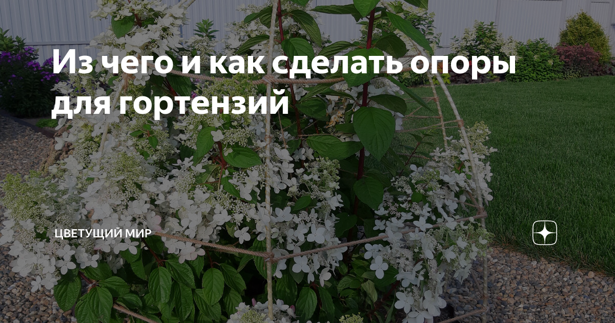 Из чего и как сделать опоры для гортензий | Цветущий мир | Дзен