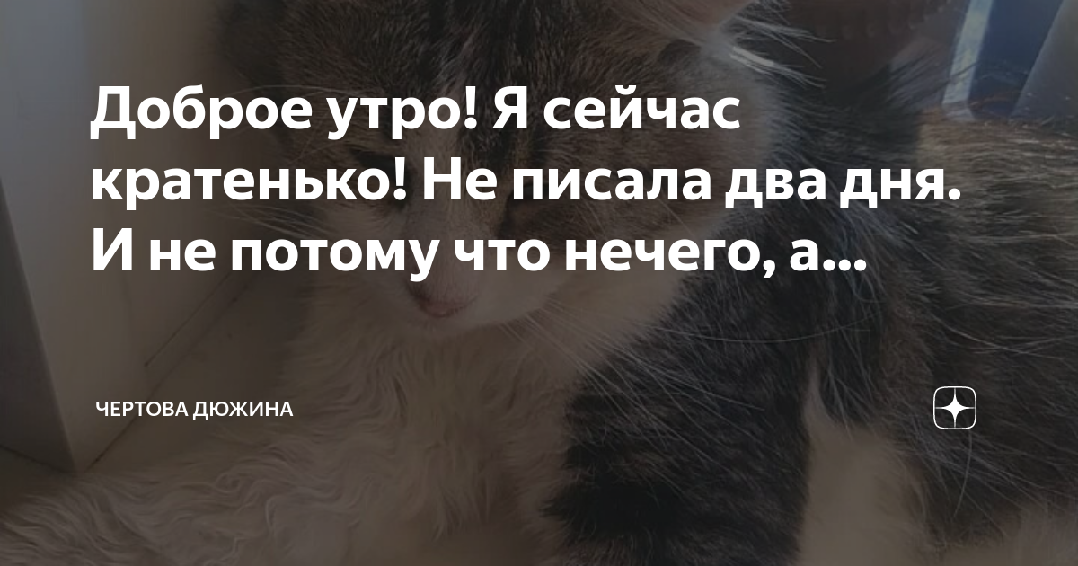 Мем с двумя скобками. В течение. Смешные записи детей в тетрадях. Физрук приколы. Извини что два года не писал у меня было плохое настроение.