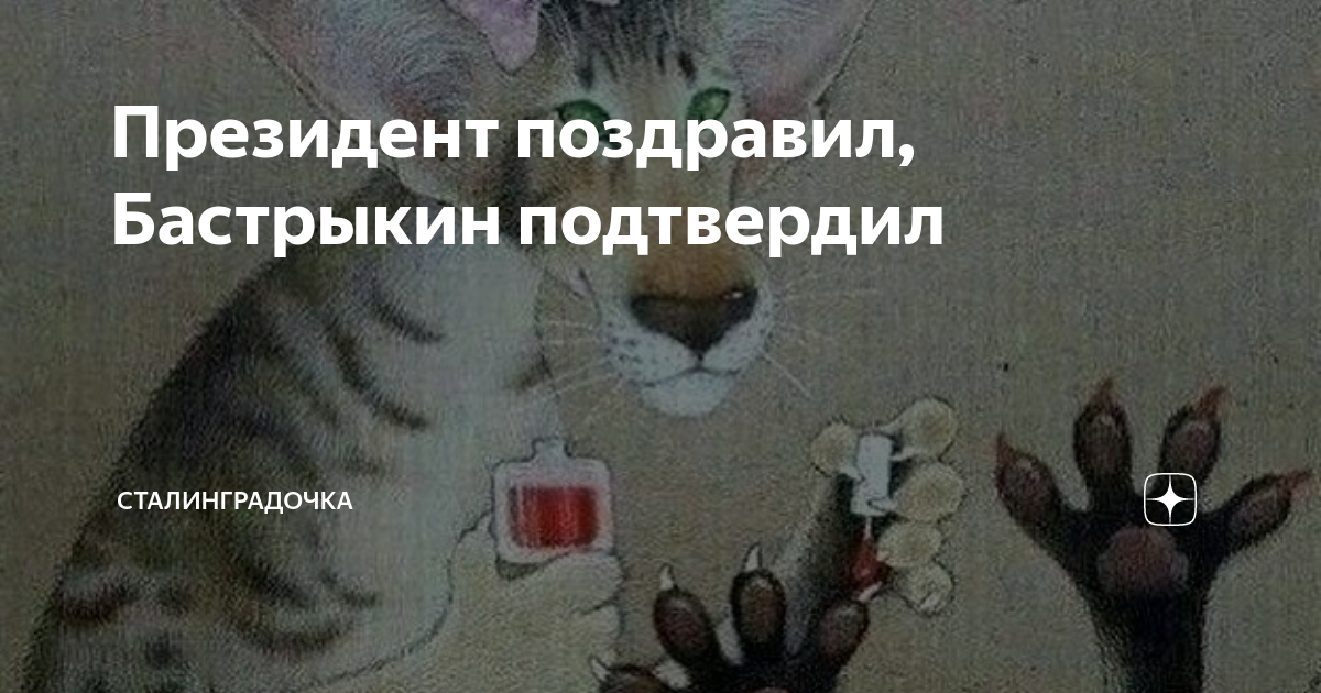 Президент поздравил, Бастрыкин подтвердил | СТАЛИНГРАДОЧКА | Дзен