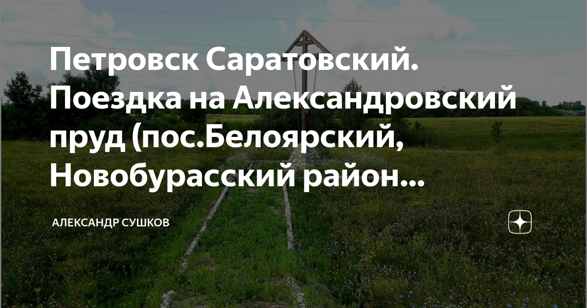 Саратовская область новобурасский район поселок белоярский. Александровский пруд Саратов.