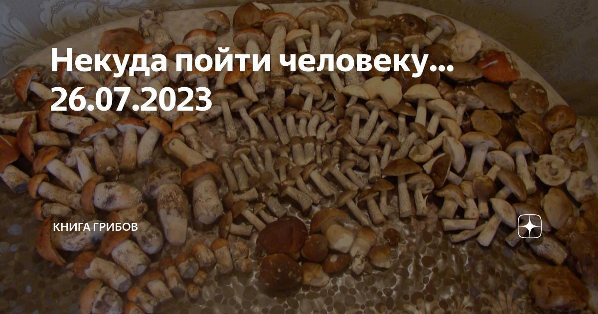 Форум воронежских грибников 2023